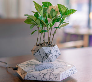 Mesmerizing Levitating Plant Pot in Marble Color