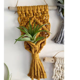 Home Decor Mini Macrame Plant Hangers For Air Plant